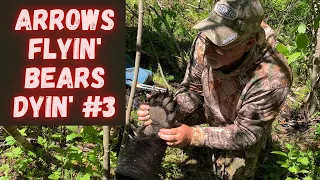 Bear hunting | Arrows Flyin' Bears Dyin' Part #3