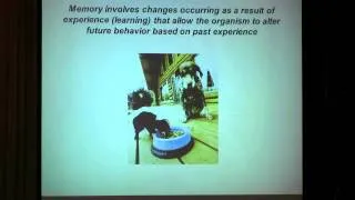 The Neuroscience of Learning and Memory