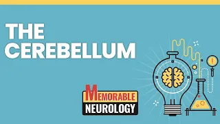 Cerebellum Mnemonics (Memorable Neurology Lecture 6)