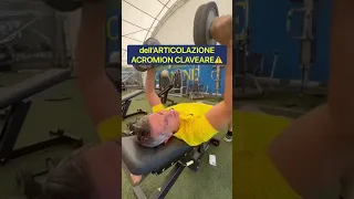 Infiammazione acromion-claveare Esercizi Prof. Francesco Franceschi ortopedico spalla a Roma