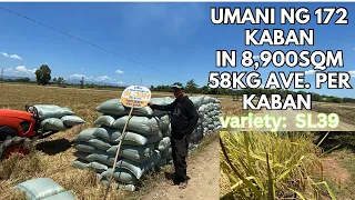 UMANI NG 172 KABAN SA 8,900sqm AT PANALO SA TANIM NA MANGGA SA PALAYAN / SL39