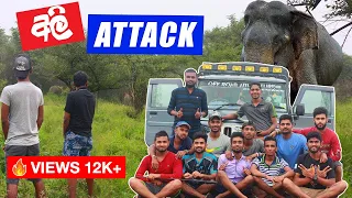 Wasgamuwa national park | Elephant Attack | Off Road Drive