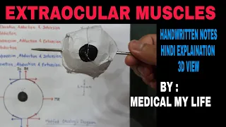 EXTRAOCULAR MUSCLES - 2 | Movements of Eyeball | Squint