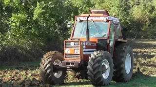 [BRUTAL SOUND] [RIPUNTATURA 2020] FIATAGRI 90-90 DT - FAZA