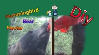 How to make HUMMINGBIRD FOOD ~ DIY Hummingbird Nectar or Bear Juice