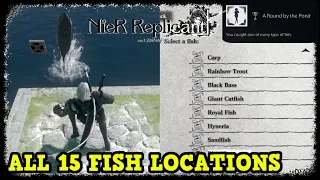 All Fish Locations in NieR Replicant The Fisherman's Gambit Quest Guide