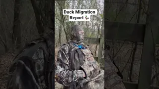 Duck Migration Report 2022