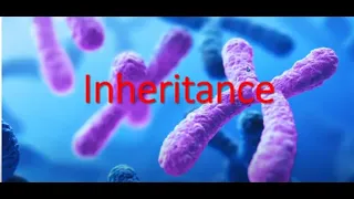 S.4 BIOLOGY LESSON ONE: INHERITANCE