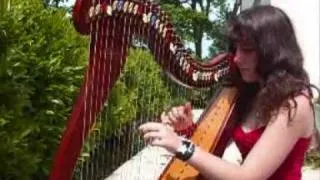 EVANESCENCE - My Immortal - harpe / harp