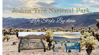 Joshua Tree National Park..