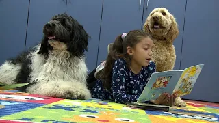 Education Counts Michiana - Read to a Therapy Dog