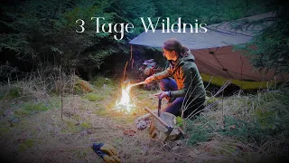 ❄️Winterbushcraft🦊 3Tage quer durch die Wälder 🌲Vanessa Blank - Teil 1