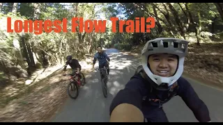 Riding the longest flow trail in CA [DEMO, Santa Cruz] [4K]