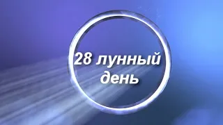 28 лунные сутки