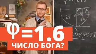 Золота пропорція: від капусти до галактики | Філософський камінь