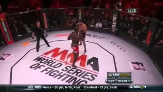 WSOF 2 Andrei Arlovski vs Anthony Johnson