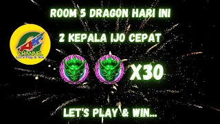 5 Dragon 2 Kepala Naga Hijau