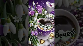 Добрый вечер, друзья 💜Прекрасного Вам настроения♥️😊