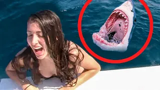 5 Shark Encounters that will Terrify you