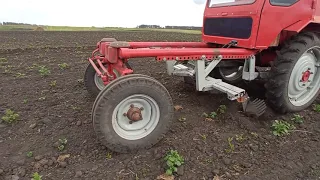 Окучивание картошки трактор т16. Первое не глубокое окучивание.