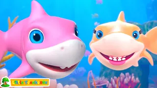 Baby Shark Song + More Kindergarten Songs and Nursery Rhymes