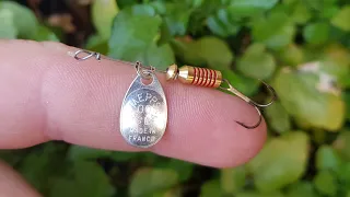 Using Micro Spinners on a Tiny Stream!