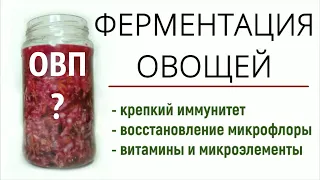 ПОЛЬЗА ФЕРМЕНТИРОВАННЫХ ОВОЩЕЙ + РЕЦЕПТ