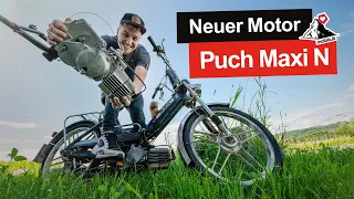 Puch Maxi MOTOR REVISION | Alles wieder WIE NEU!