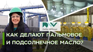 Производство растительных масел: как это сделано | Дельта Вилмар Украина | Latifundist