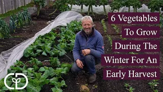 6 Vegetables To Grow During The Winter For An Early Harvest