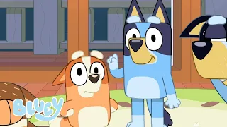 Das Beste aus Staffel 1! 💙 | 35 MINUTEN+ Ganze Folgen | Bluey - Deutsch Offizieller Kanal