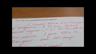 Разбор задания на пирамиду биомассы и численности