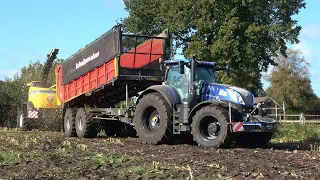 Mais hakselen voor Miskotte door loonbedrijf Bouwhuis - Deel 1 (2021)