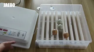 Jaedo automatic incubator