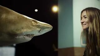 Shark Exhibition at the Australian Museum 15 second fly-through