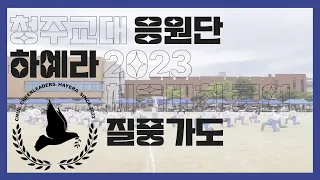 [청주교대 응원단 하예라] 2023 체육대회 공연 #3 질풍가도 치어리딩