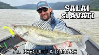 PESCUIT pe DUNARE la SALAU si AVAT