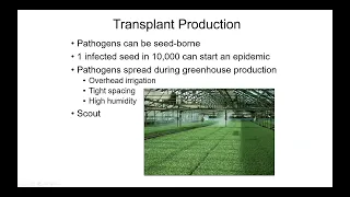 Empire State Producers Expo 2022: Tomato IPM School, Part 3 - Diseases and Nutritional Deficiencies