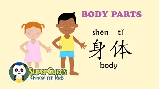 学中文- 身体部位| Learn Chinese for Kids - Body Parts| Aprender Chino - Partes del Cuerpo