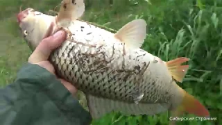 Fishing on the lift (spider) and spinning. What can you catch more???