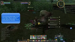 Lord of the Rings Online Stomp a Shrew Guide