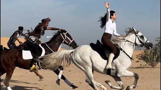 Gallop in Dubai desert ms9 stable for booking what’s app 00971552332677