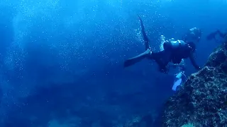 海中で下向きの流れ（ダウンカレント）に捕まったダイバーたち　はいた泡が上に上がらず水中に漂って視界が悪くなる（和歌山県ダイビングスクール撮影）