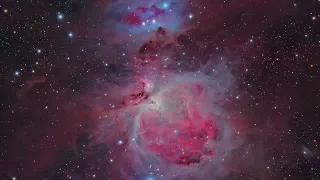 Into the Heart of Orion Nebula: Journey to Trapezium Cluster