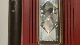 Pulling the fire alarm at my school (fake )