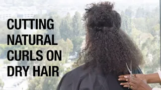 Best Practices for Cutting Natural Curls | Curly Hair Dry Cutting Tutorial | Kenra Professional