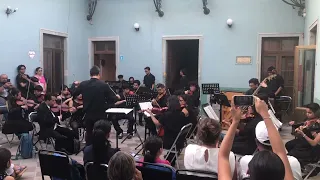 OSIDeMAE - 2. Sinfonía Telemann (Concierto "COLLAGE")