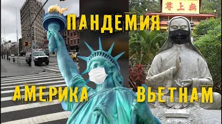 Коронавирус в США! Нью-Йорк и Сан Франциско. Карантин во Вьетнаме. Жизнь во время эпидемии COVID-19.