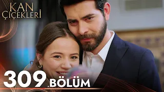 Kan Çiçekleri 309. Bölüm