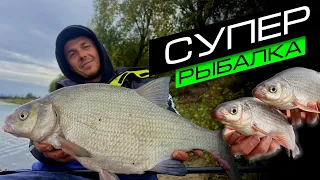 ФИДЕРНАЯ ЛОВЛЯ НА РЕКЕ / КАК ПОЙМАТЬ МНОГО РЫБЫ / FROS FISHING